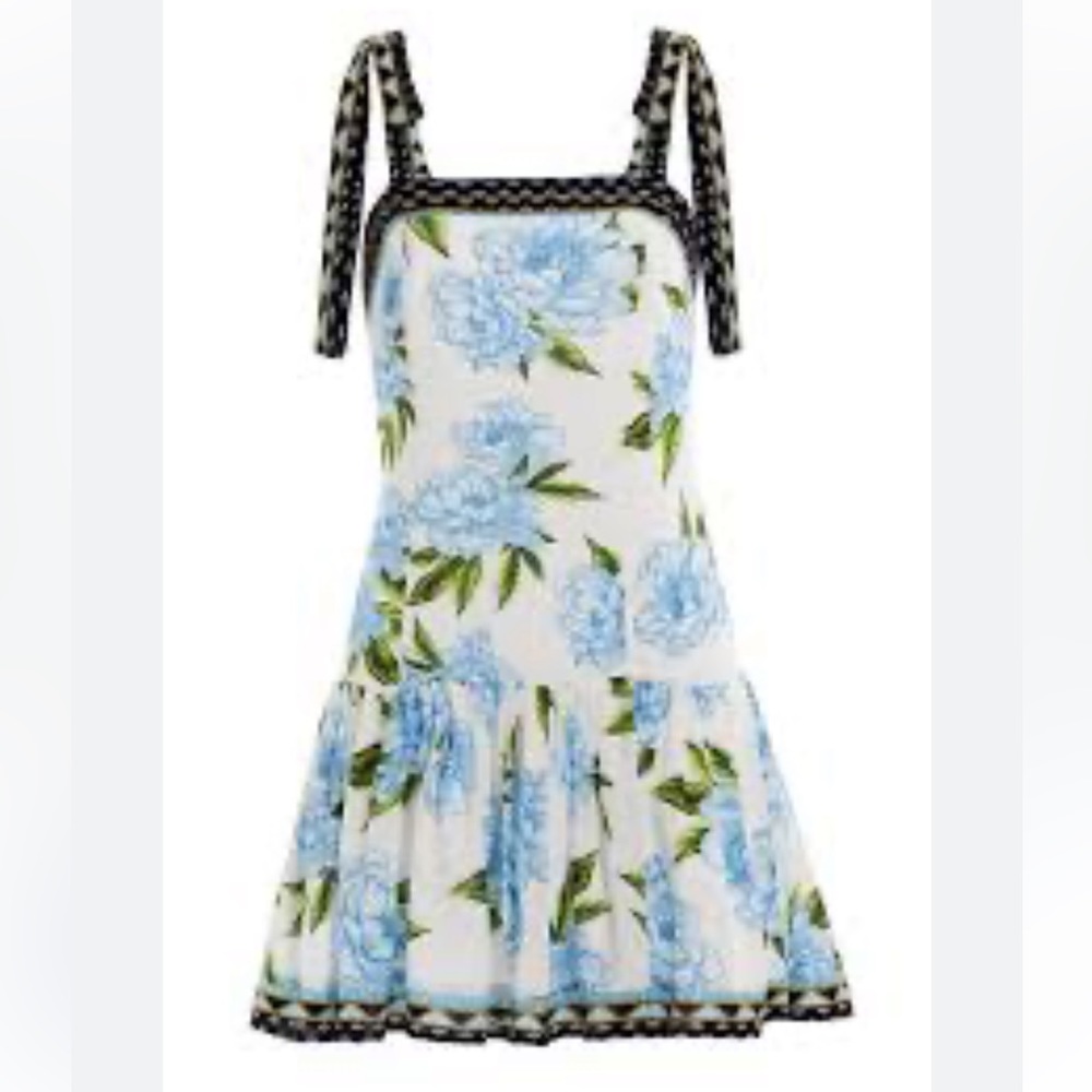 Aqua Bendita Viila Joaquin’s Dress BNWT - large